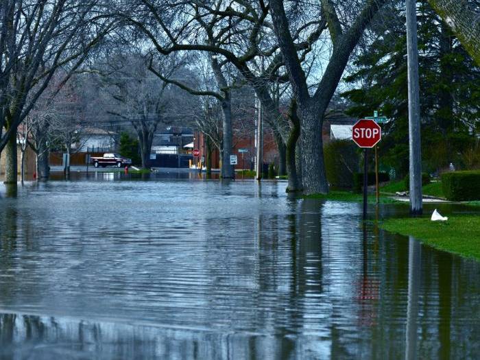 adjuster storm damage charlotte