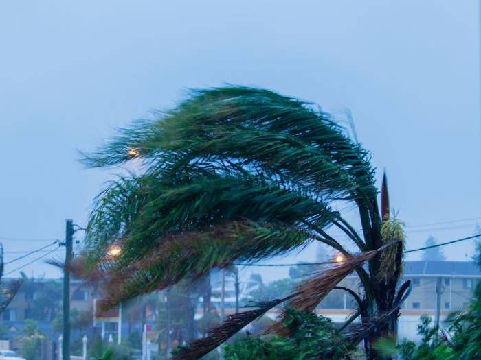 independent insurance adjuster