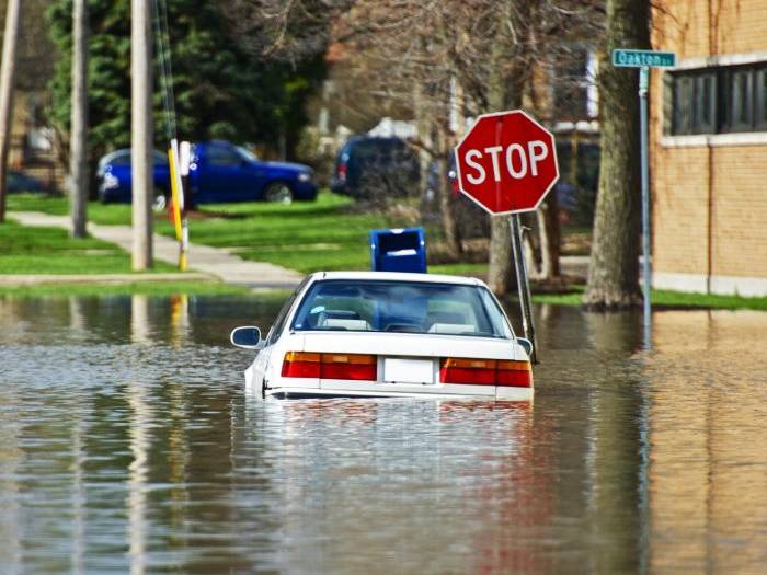 property damage appraisers