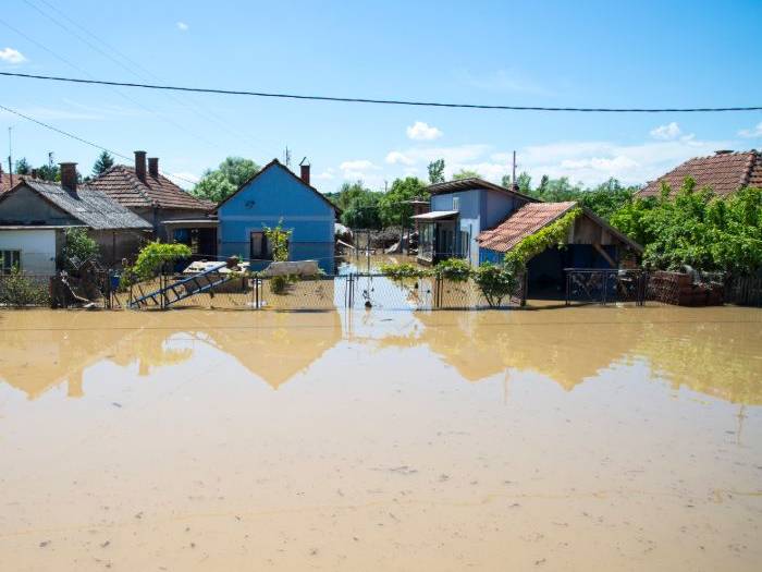 adjuster water damage charlotte