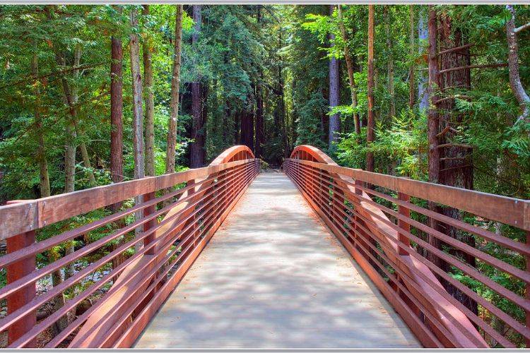 walking trail huntersville